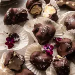 Frozen Chocolate Banana Yogurt Bites